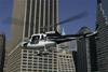 NY See the Skies! Helicopter Tour