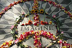 Strawberry Fields